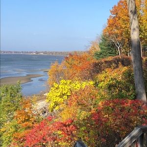 Meet your Posher, Jillian